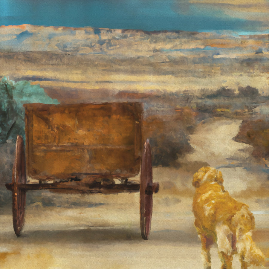 A Dog Who Follows Gladly