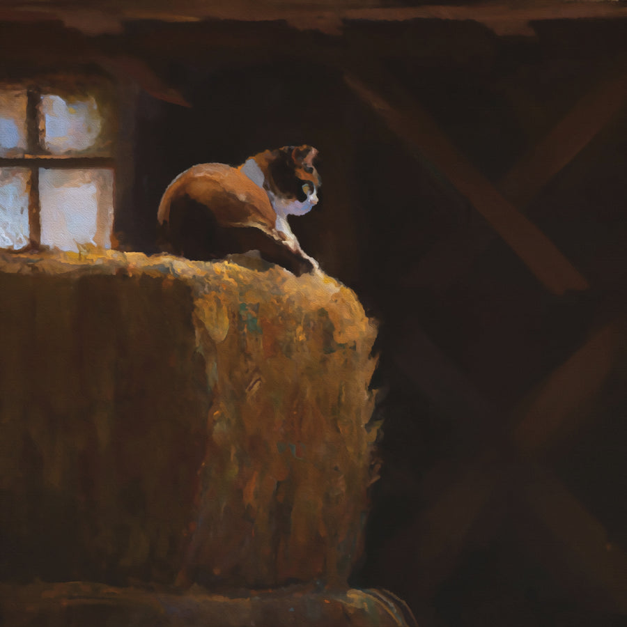 A Dog Who Follows Gladly