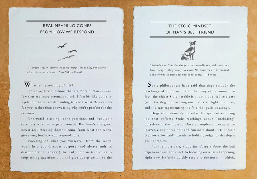 stoicism book of quotes