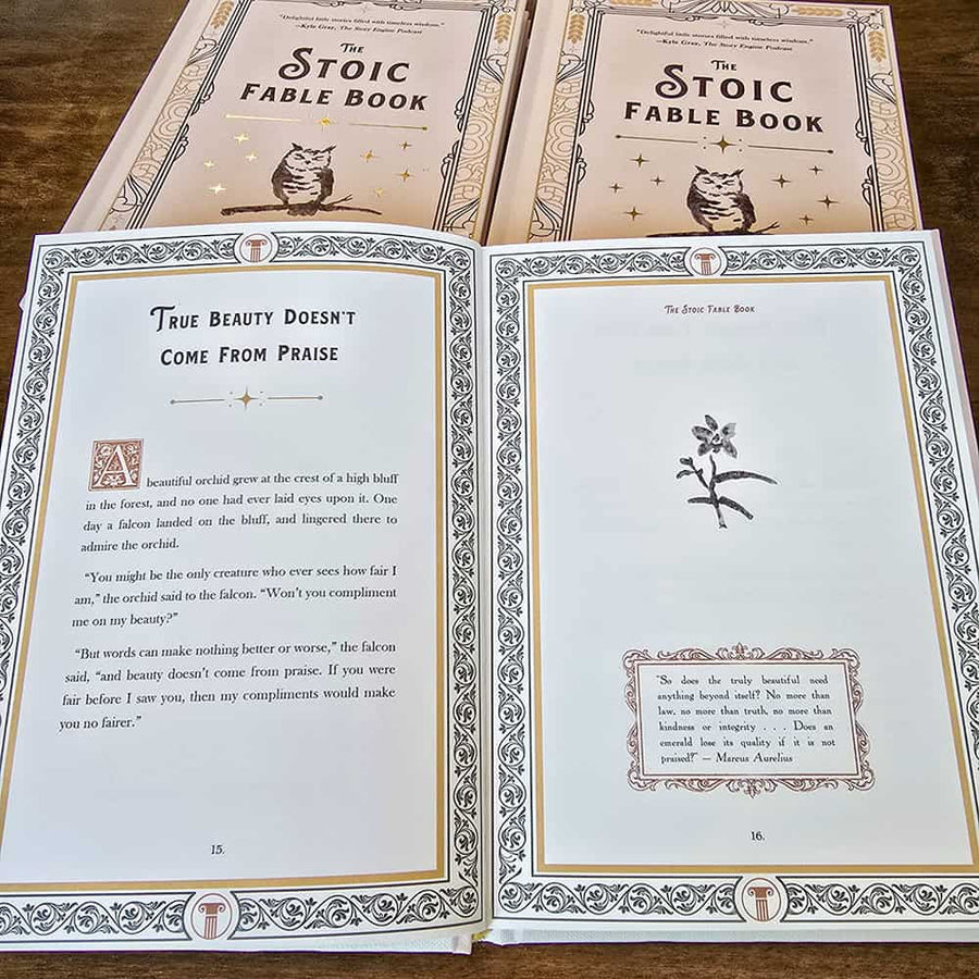 The Stoic Pathway (2 Book Series)